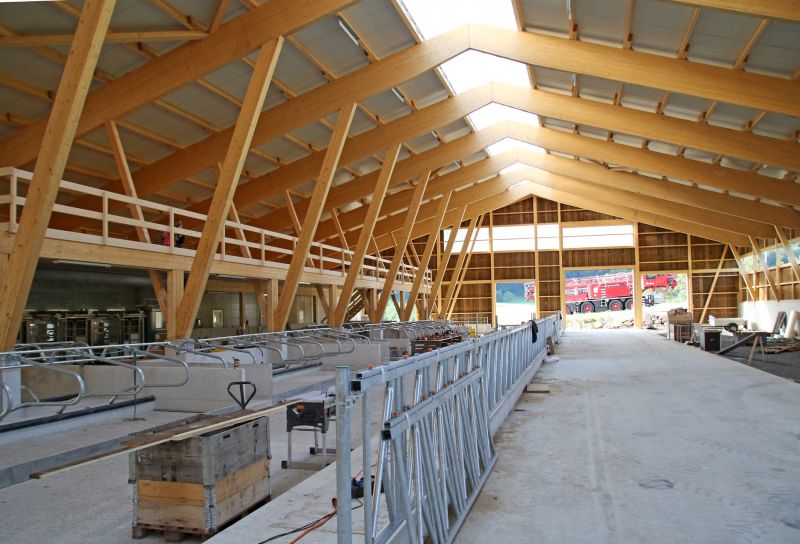 Accessibility & Comfort